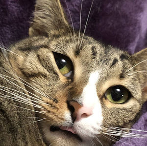 Meet your Posher, Angelina